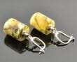 Earth Colors Amber Earrings Made of Barrel Shape Raw Amber