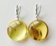 Amber Earrings Made of Flat Round Baltic Amber