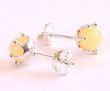 Amber Stud Earrings Made of Butterscotch Baltic Amber