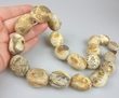 Raw Amber Necklace Made of Multicolor Baltic Amber