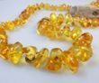 Amber Necklace Made of Free Form Shape Golden Color Baltic Amber