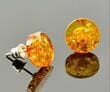 Amber Stud Earrings Made of Cognac Color Round Amber