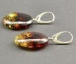 Amber Earrings Made of Flat Round Baltic Amber 
