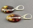 Amber Earrings Made of Flat Round Colorful Baltic Amber 