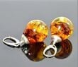 Amber Teardrop Earings Made of Colorful Amber