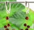 Amber Earrings Made of Amazing Healing Baltic Amber