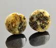 Amber Clip On Earrings Made of Earth Colors Baltic Amber