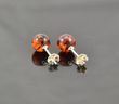 Small Amber Stud Earrings Made of Cognac Baltic Amber