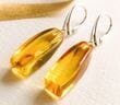 Amber Rectangle Earrings Made of Honey Amber With Bits of Flora