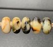 5 Pcs Wholesale Pandora Style Amber Charm Beads - SOLD OUT