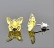 Golden Butterfly Amber Stud Earrings Made of Golden Color Amber 