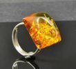 Adjustable Honey Color Baltic Amber Silver Ring