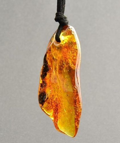 Large Amber Amulet Pendant On Black Cord - SOLD OUT