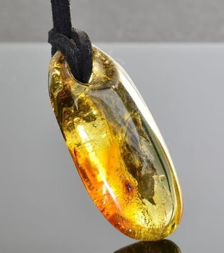 Amber Amulet On Black Cord Tall Free Form Amber With Bits of Flora