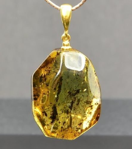 Amber Pendant Made of Baltic Amber With Bits of Flora