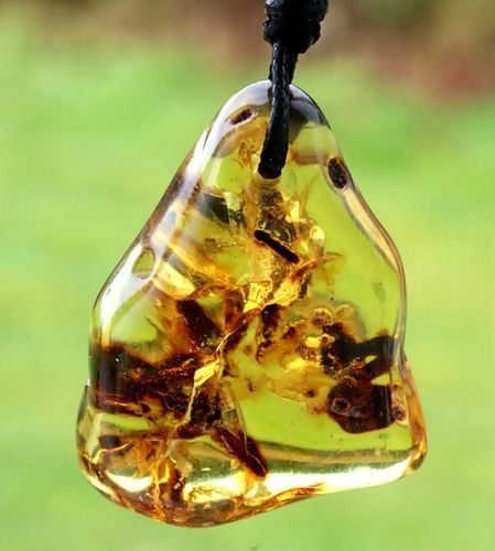 Amber Amulet On Adjustable String Free Form Amber - SOLD OUT