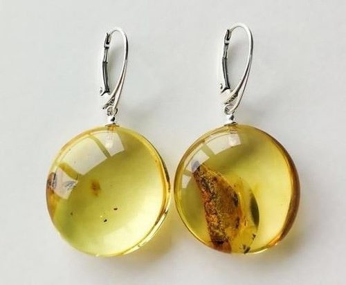 Amber Earrings Made of Flat Round Baltic Amber With Bits of Flora