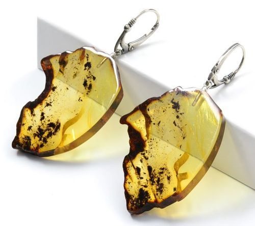 Amber Slice Earrings Made of Precious Baltic Amber