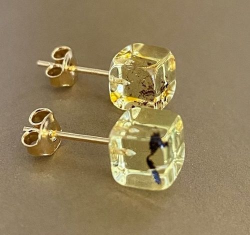 Small Cube Amber Stud Earrings Made of Amber With Bits of Flora