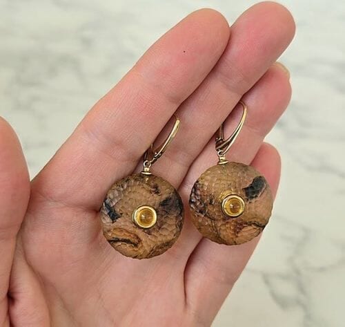 Extraordinaire Meteorite Amber Earrings Carved Cloudy Amber