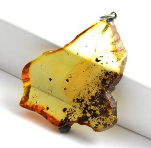 Amber Slice Pendant [See what's inside Baltic Amber]