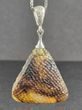 Meteorite Triangle Amber Pendant Carved Cloudy Baltic Amber