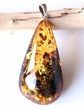 Amber Pendant Made of Precious Baltic Amber With Bits of Flora
