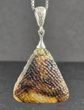 Meteorite Triangle Amber Pendant Carved Cloudy Baltic Amber