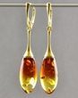Amber Drop Dangle Earrings Made of Multicolor Baltic Amber
