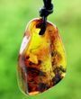 Amber Amulet On Adjustable String Free Form Amber