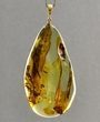 Amber Pendant Made of Precious Baltic Amber With Bits of Flora
