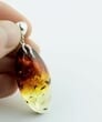 Amber Pendant Made of Precious Baltic Amber