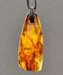 Large Amber Pendant Amulet On Black Cord
