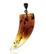 Men's Amulet Pendant Made of Colorful Baltic Amber