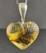 Meteorite Amber Heart Pendant Carved Cloudy Baltic Amber