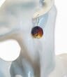 Amber Earrings Made of Flat Round Baltic Amber 