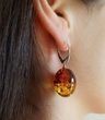 Amber Earrings Made of Large Olive Shape Colorful Baltic Amber 