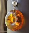 Amber Donut Pendant - SOLD OUT