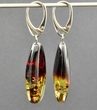 Amber Earrings Made of Free Form Baltic Amber