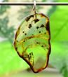 Amber Slice Pendant [See what's inside Baltic Amber]