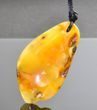 Amber Amulet On Adjustable String Free Form Amber