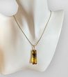 Amber Pendant Made of Tall Tube Shape Amber With Bits of Flora