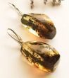 Amber Rectangle Earrings Made of Baltic Amber With Bits of Flora