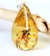 Amber Pendant Made of Precious Baltic Amber
