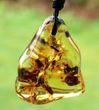 Amber Amulet On Adjustable String Free Form Amber - SOLD OUT