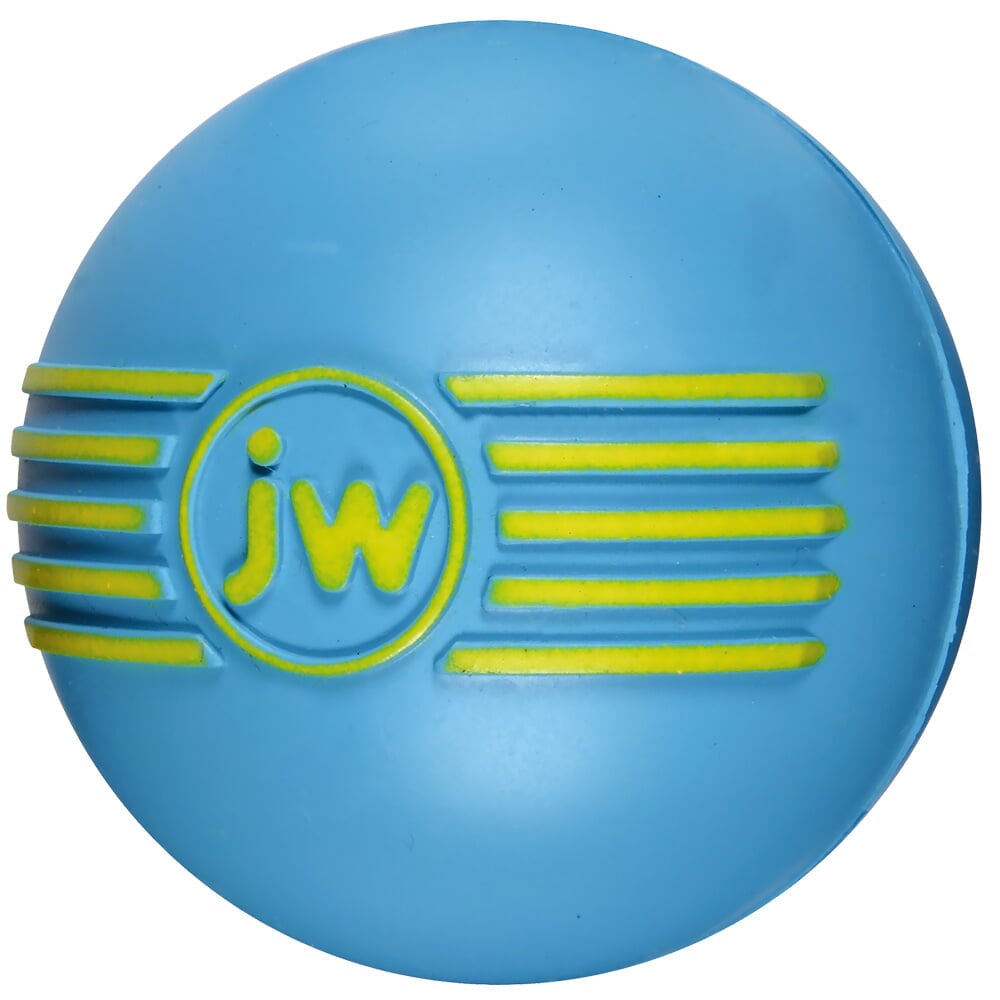 JW Pet iSqueak Dog Ball Large (Assorted) HealthyPets