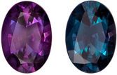 Highly Quality Gubelin Certified Alexandrite Genuine Gem, 6.69 x 4.72 x 3.06 mm, Rich Burgundy to Teal Blue Green, Oval Cut, 0.7 carats