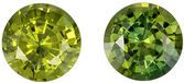 Bright & Lively Sapphire Matched Pair, 1.17 carats, Yellowish Lime Green, Round Cut, 4.9 mm
