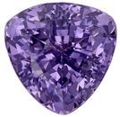 Must See Purple Spinel Loose Stone, 1.5 carats, Trillion Cut, 6.6 mm , Great Deal on This Gem