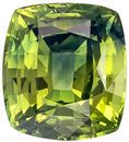 Rare Color in 1.81 carat Bicolor Yellow Green Sapphire Cushion Cut with GIA Certificate